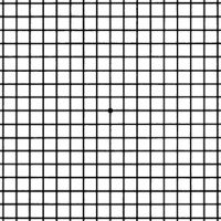 Amsler Grid